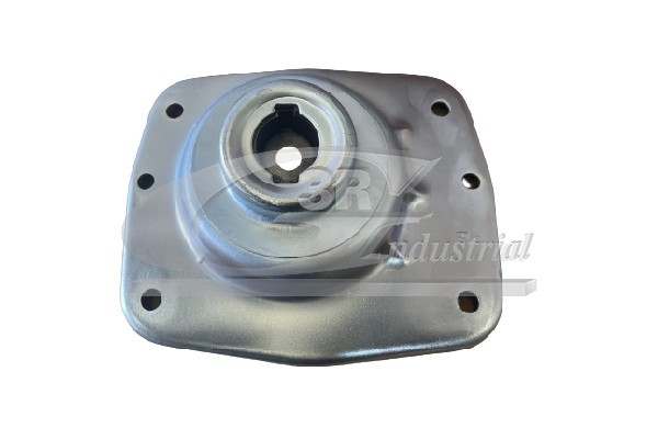 3RG Federbeinstützlager