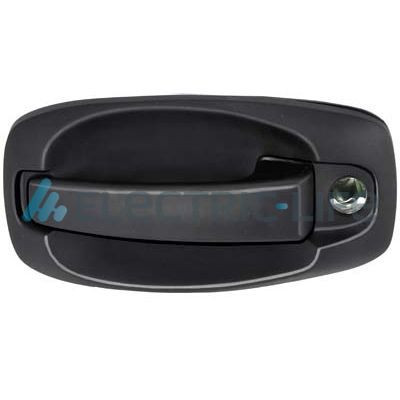 ELECTRIC LIFE Türgriff