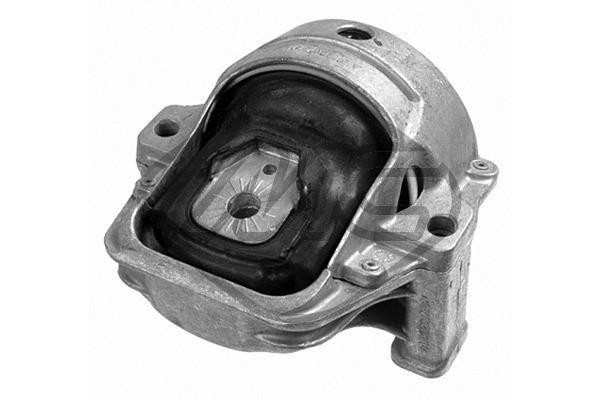 Metalcaucho Lagerung, Motor