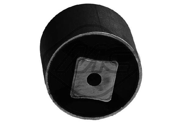 Metalcaucho Lagerung, Motor