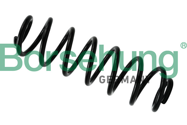 Borsehung Fahrwerksfeder