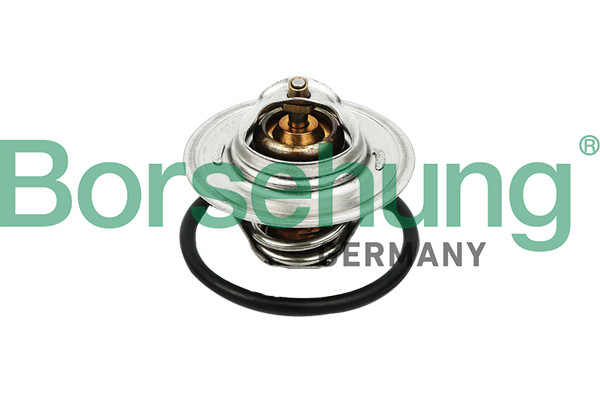 Borsehung Thermostat, Kühlmittel