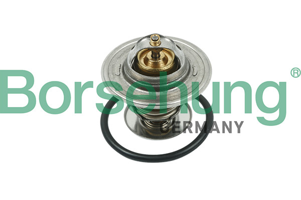 Borsehung Thermostat, Kühlmittel