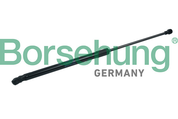 Borsehung Gasfeder, Koffer-/Laderaum