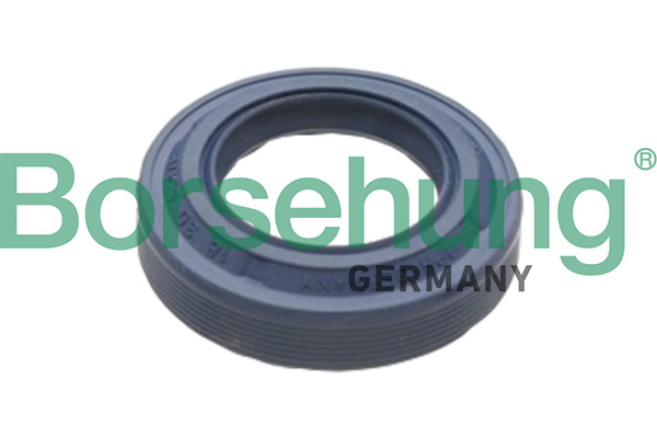 Borsehung Wellendichtring, Differential