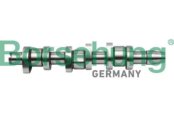 Borsehung Nockenwelle