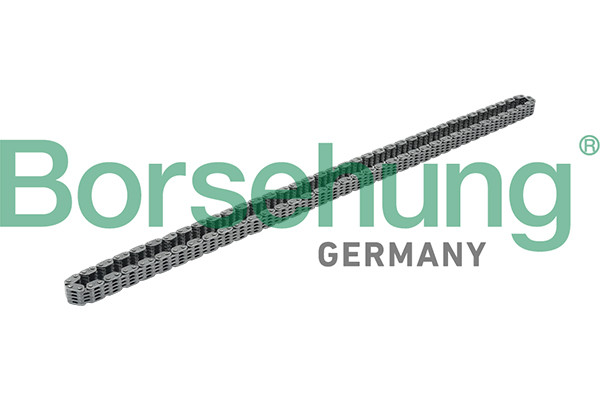 Borsehung Steuerkette