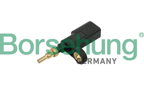Borsehung Sensor, Kühlmitteltemperatur