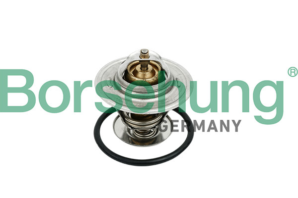 Borsehung Thermostat, Kühlmittel