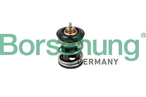 Borsehung Thermostat, Kühlmittel