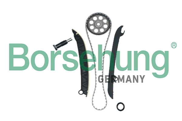 Borsehung Steuerkettensatz Borsehung Steuerkettensatz