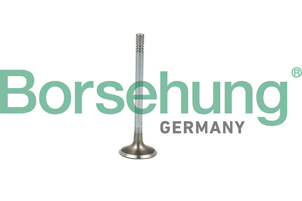 Borsehung Einlassventil