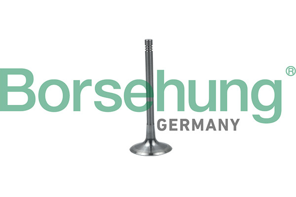 Borsehung Einlassventil