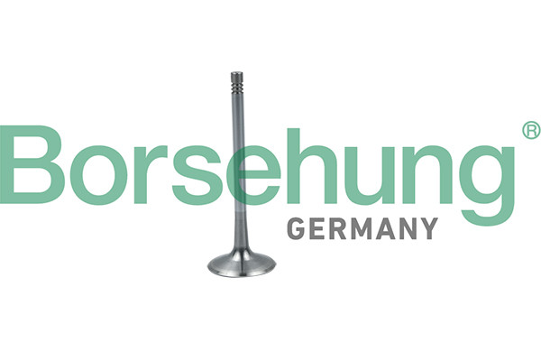Borsehung Einlassventil