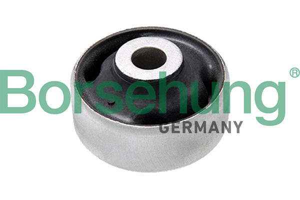 Borsehung Lagerung, Lenker