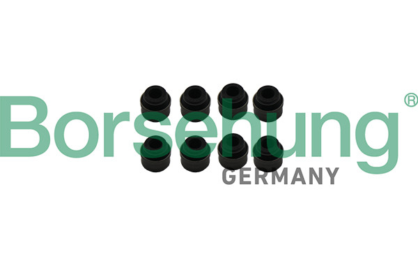 Borsehung Dichtring, Ventilschaft