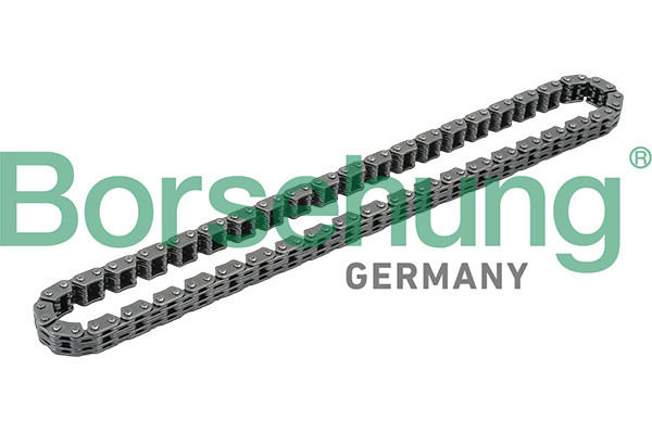 Borsehung Steuerkette