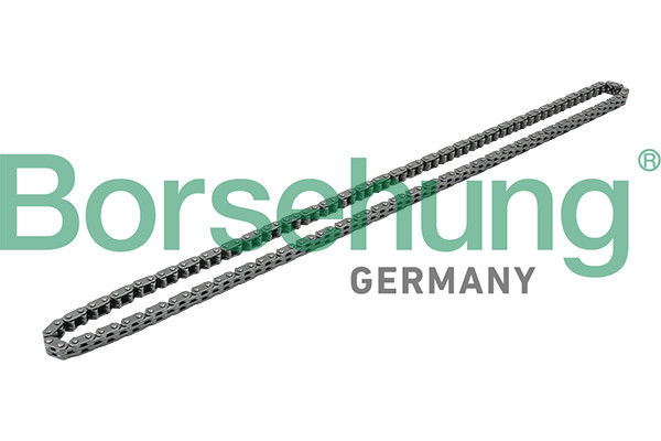 Borsehung Steuerkette