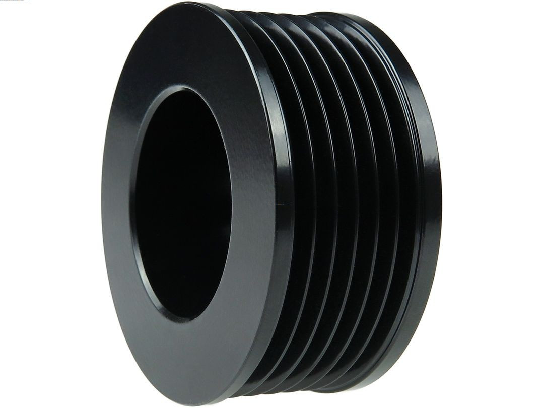 AS-PL Riemenscheibe, Generator