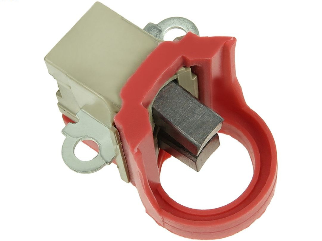 AS-PL Halter, Kohlebürsten