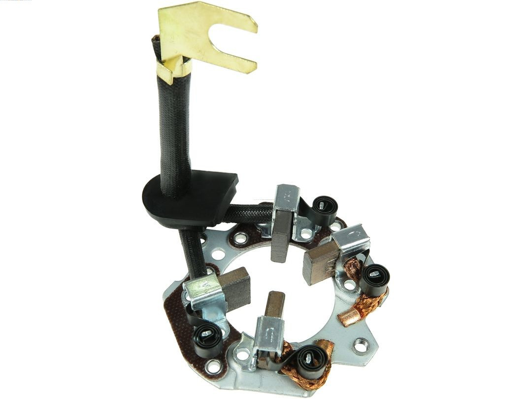 AS-PL Halter, Kohlebürsten