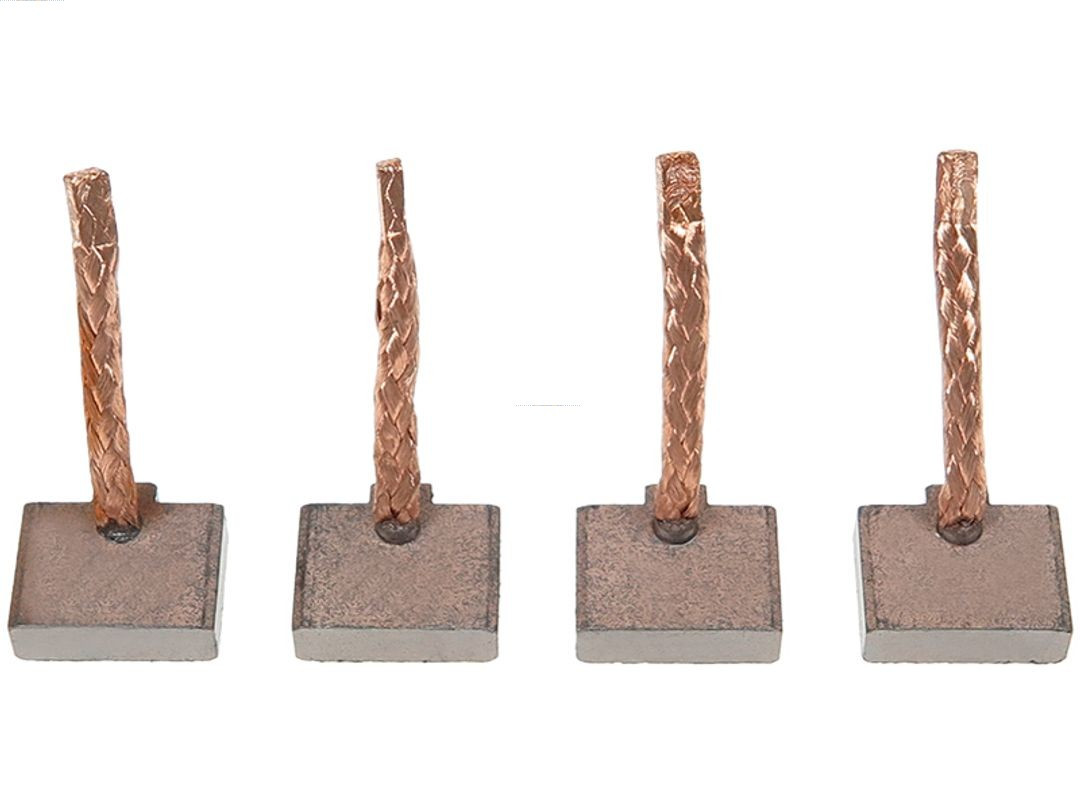 AS-PL Kohlebürste, Starter