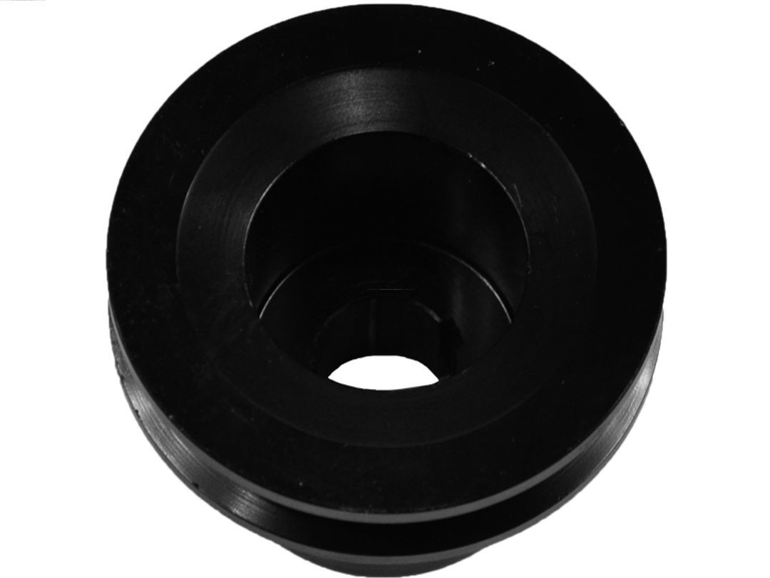 AS-PL Riemenscheibe, Generator