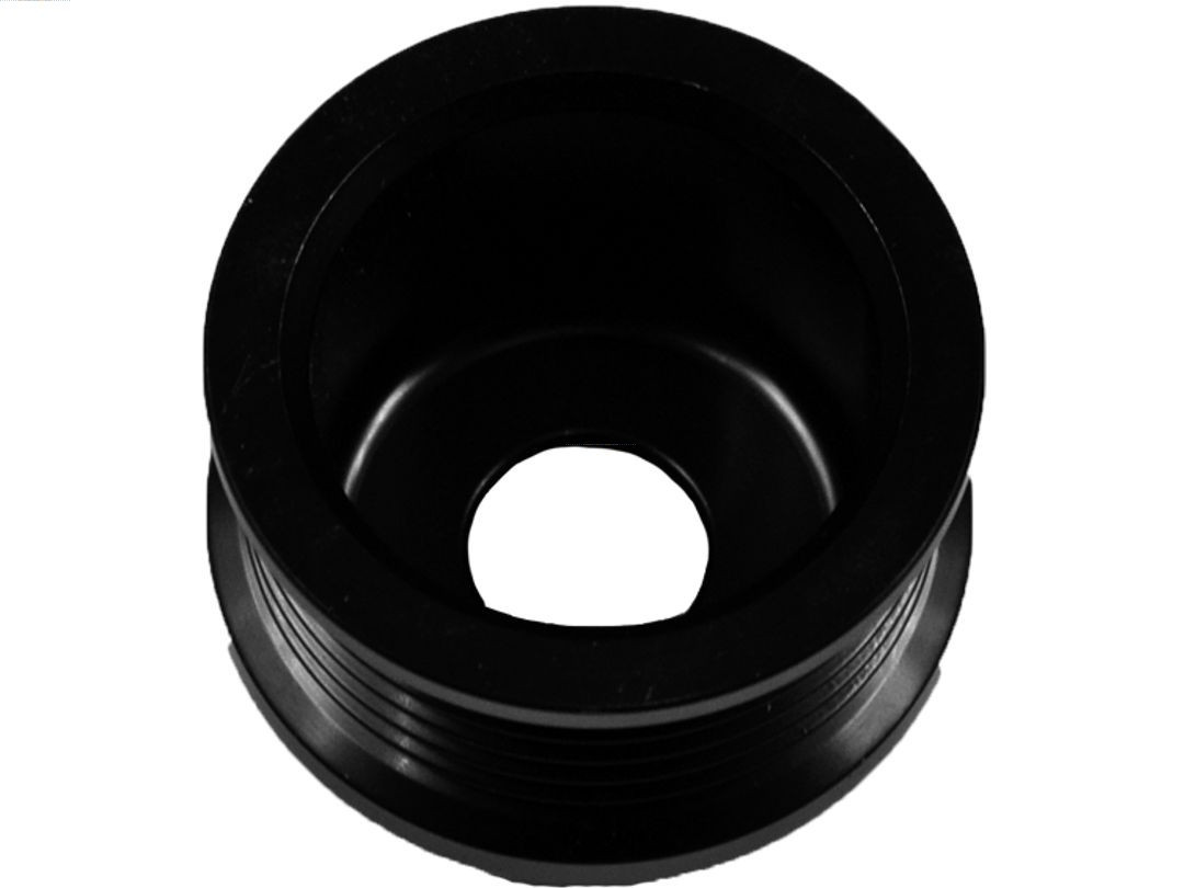 AS-PL Riemenscheibe, Generator