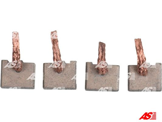 AS-PL Kohlebürste, Starter