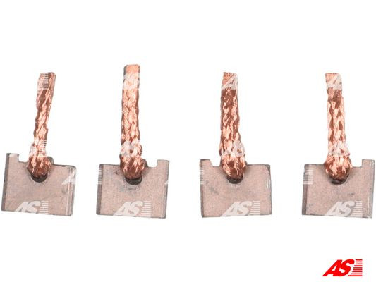 AS-PL Kohlebürste, Starter