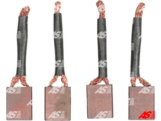 AS-PL Kohlebürste, Starter