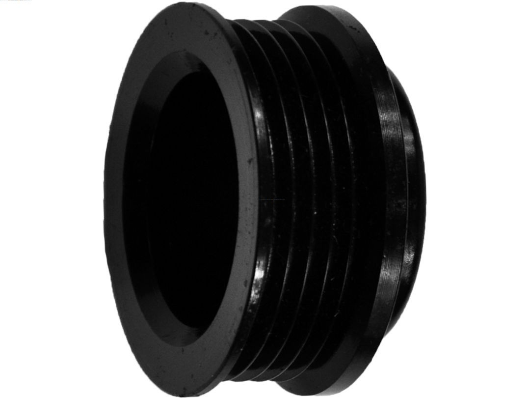 AS-PL Riemenscheibe, Generator