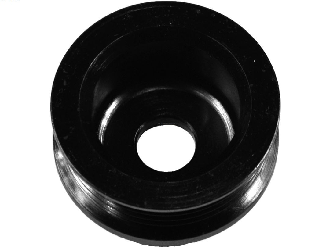 AS-PL Riemenscheibe, Generator