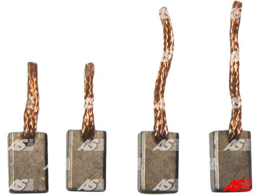 AS-PL Kohlebürste, Starter