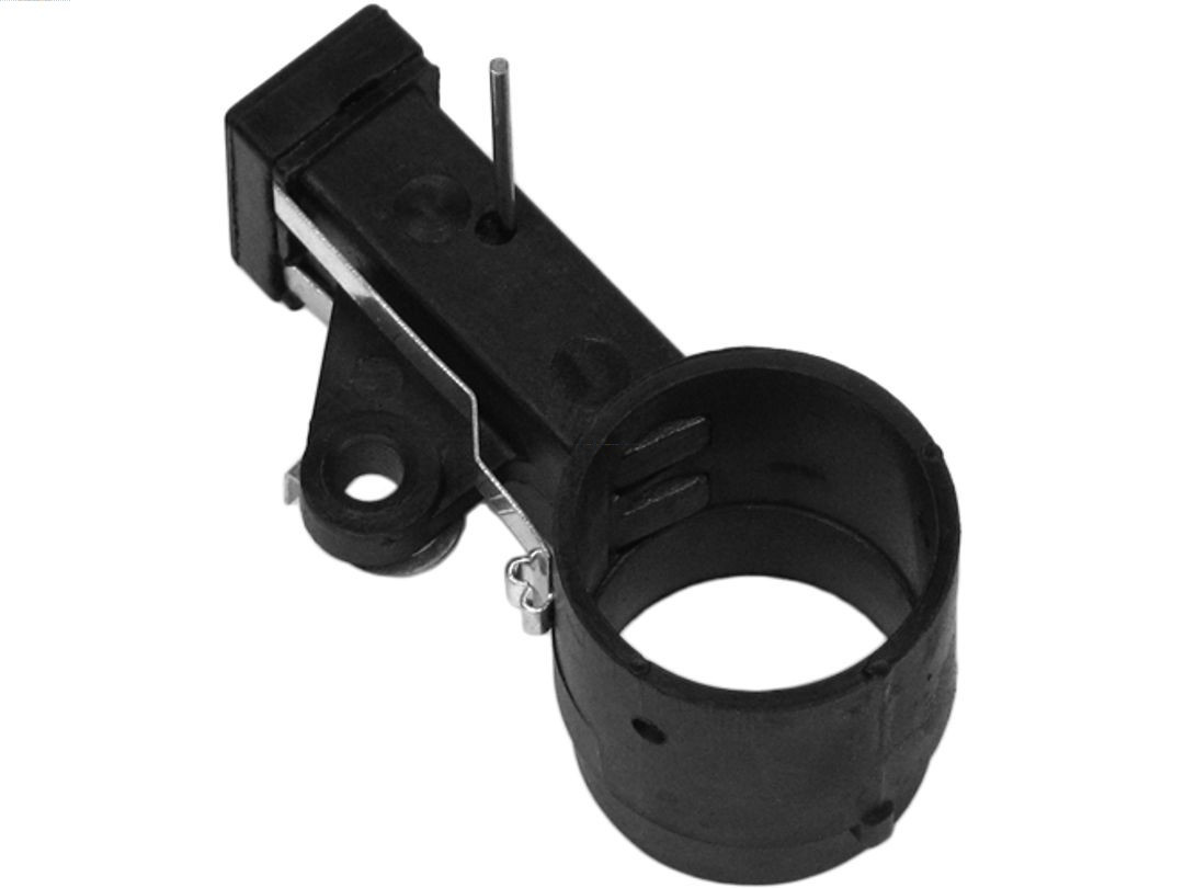 AS-PL Halter, Kohlebürsten