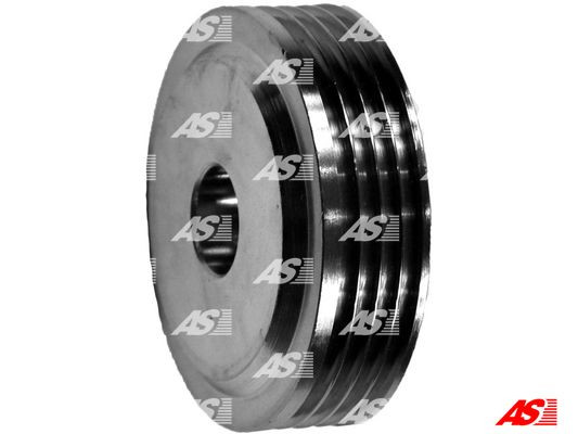 AS-PL Riemenscheibe, Generator