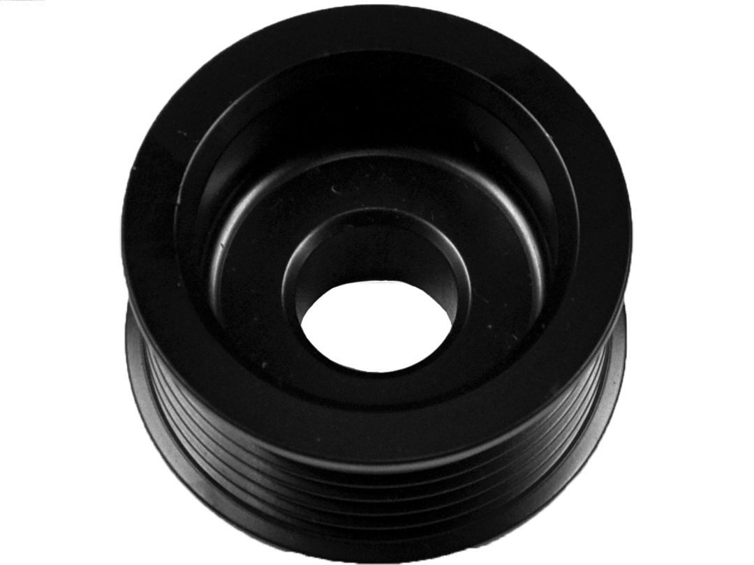 AS-PL Riemenscheibe, Generator