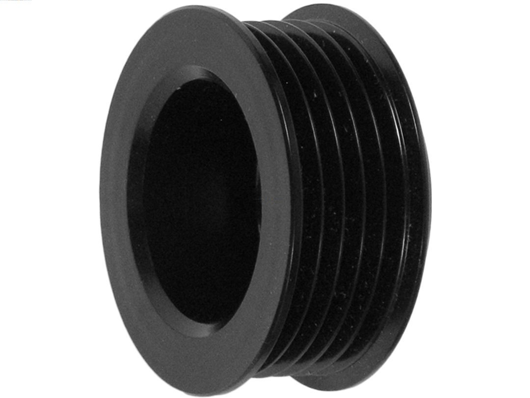 AS-PL Riemenscheibe, Generator