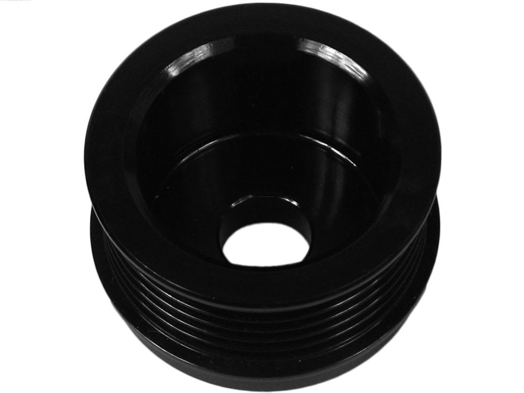 AS-PL Riemenscheibe, Generator