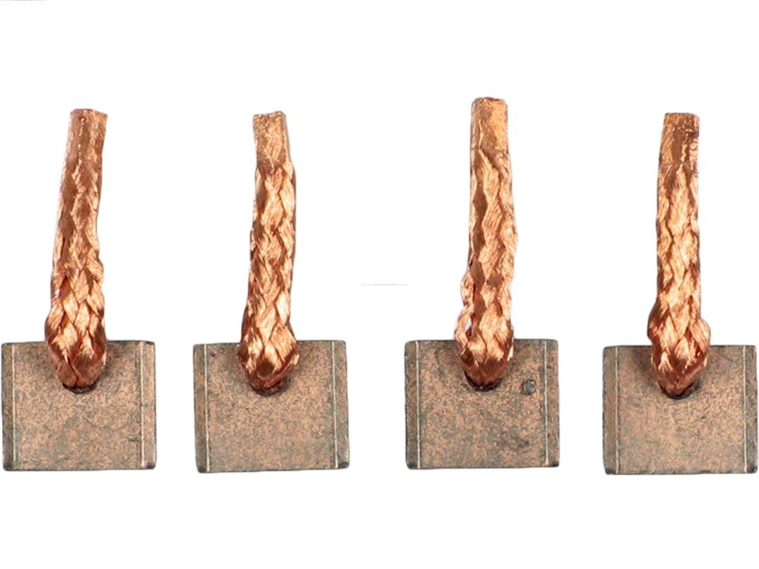 AS-PL Kohlebürste, Starter