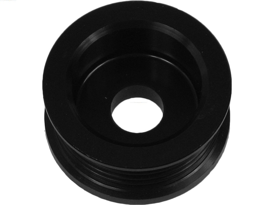 AS-PL Riemenscheibe, Generator