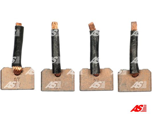 AS-PL Kohlebürste, Starter