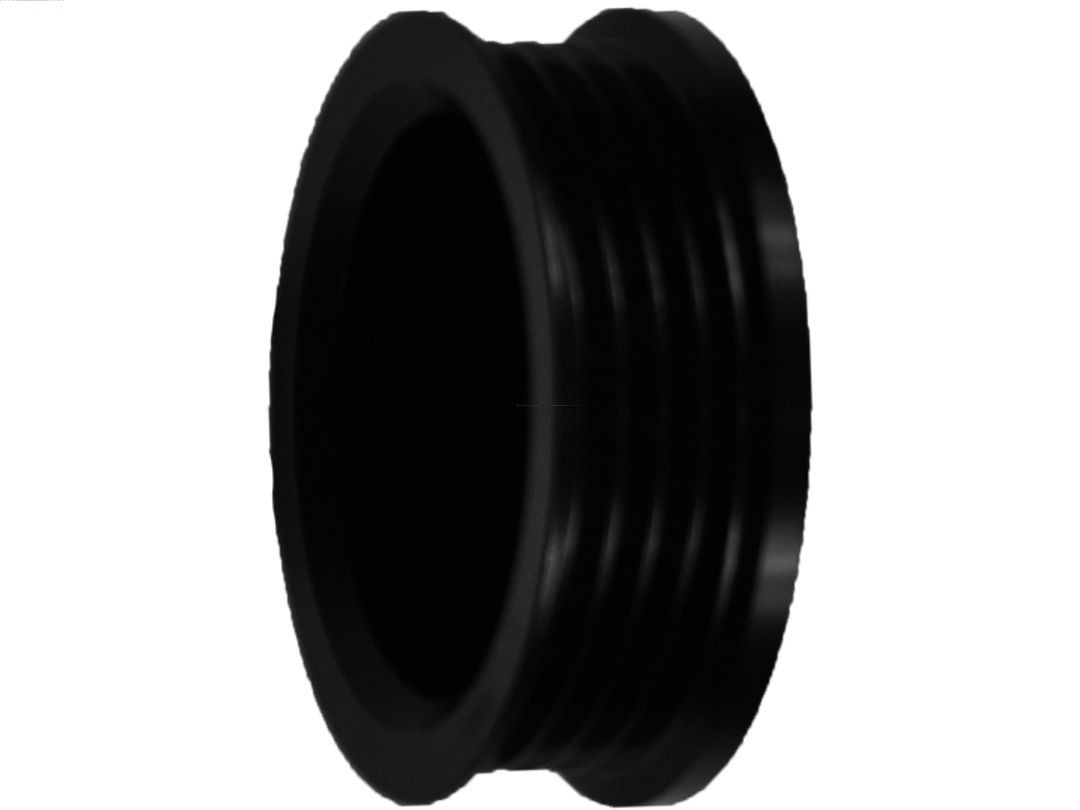 AS-PL Riemenscheibe, Generator