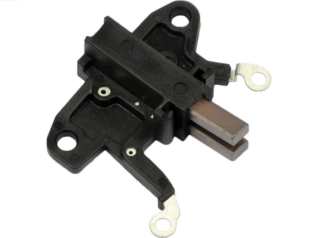 AS-PL Halter, Kohlebürsten