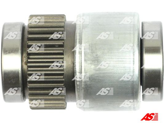 AS-PL Ritzel, Starter AS-PL Ritzel, Starter