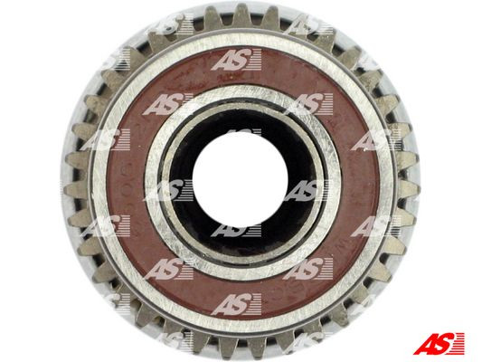 AS-PL Ritzel, Starter AS-PL Ritzel, Starter