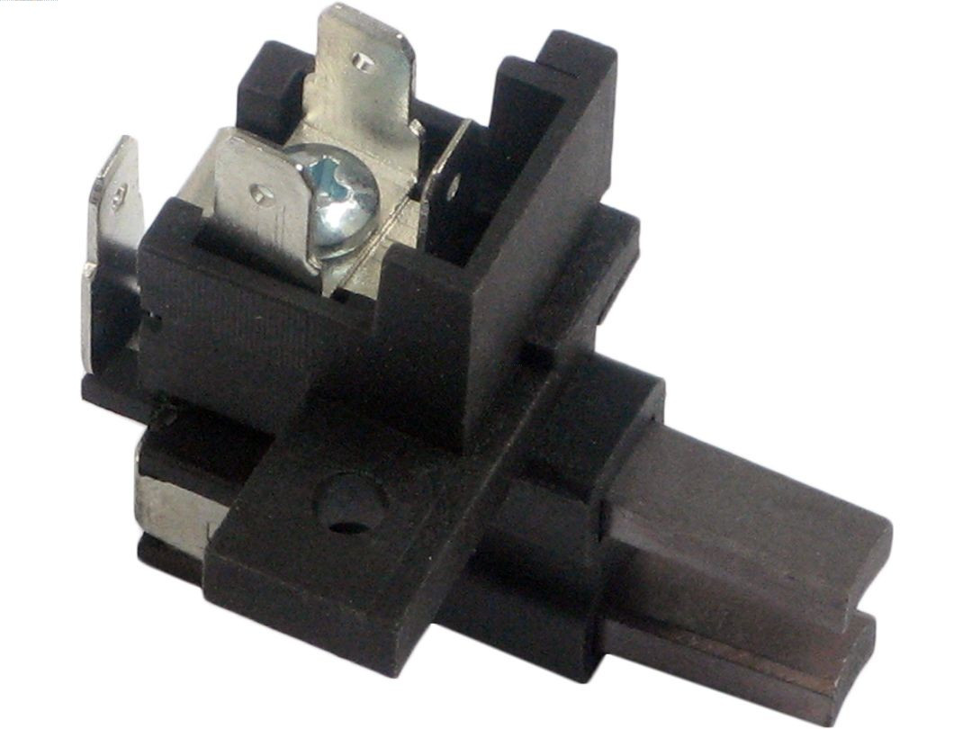 AS-PL Halter, Kohlebürsten
