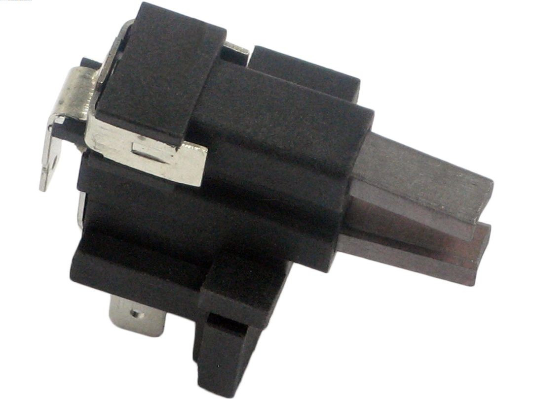 AS-PL Halter, Kohlebürsten