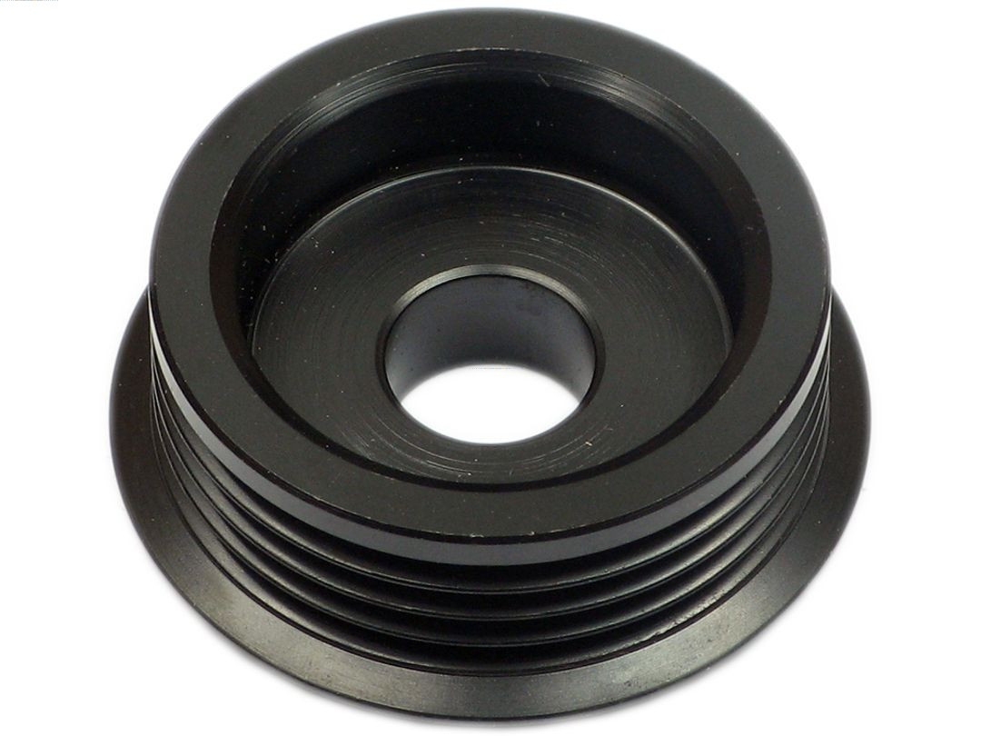 AS-PL Riemenscheibe, Generator