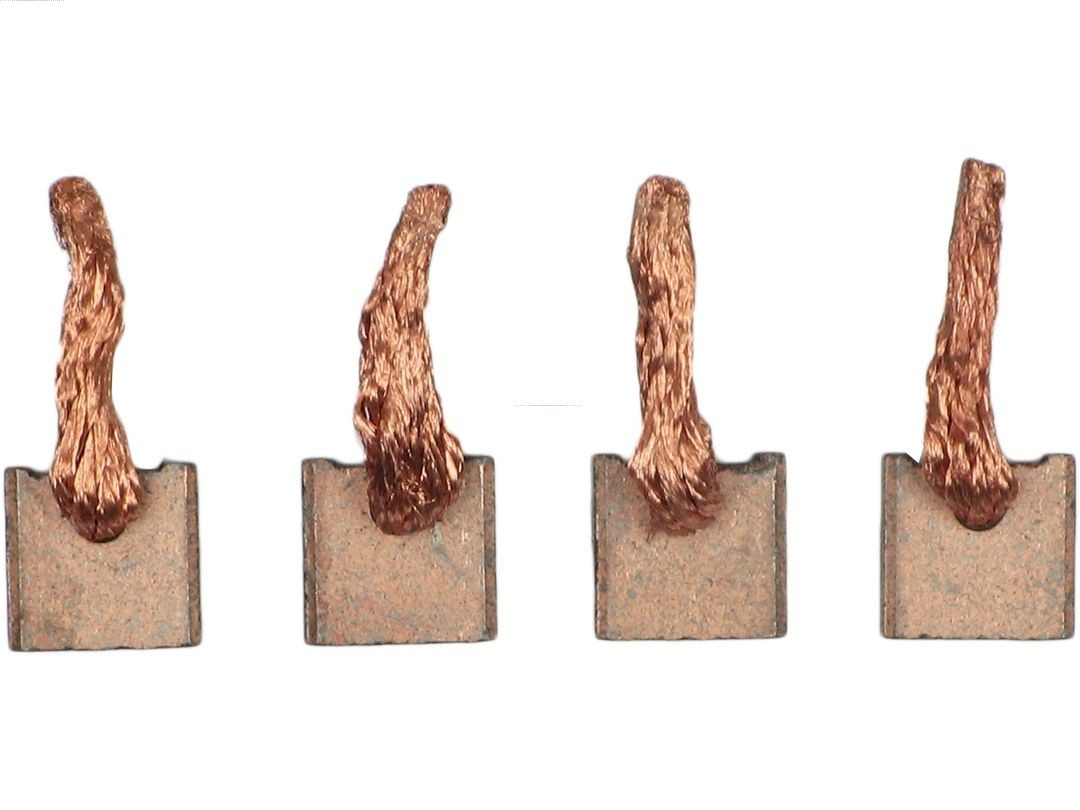 AS-PL Kohlebürste, Starter